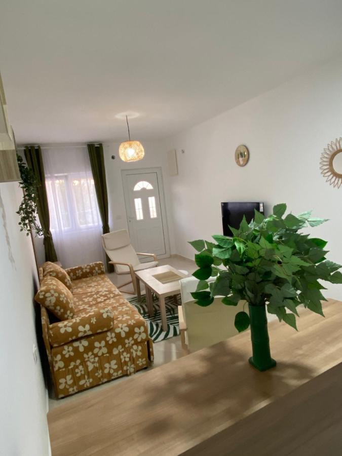 Kotor Apartman Green Sailor المظهر الخارجي الصورة